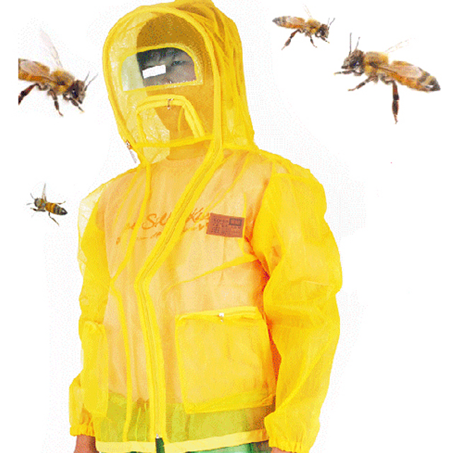 ��ǰ ������