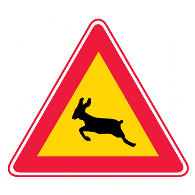 ǰ 